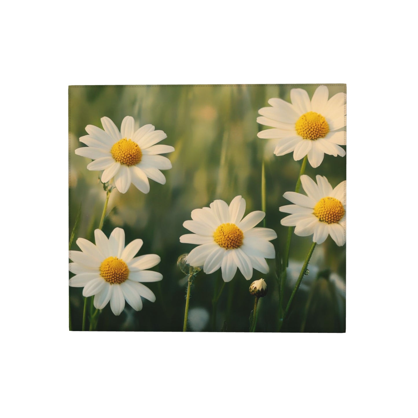 Daisy Field Kitchen Towel – Nature-Inspired Floral Hanging Cloth for Drying or Décor (16x24 inches)