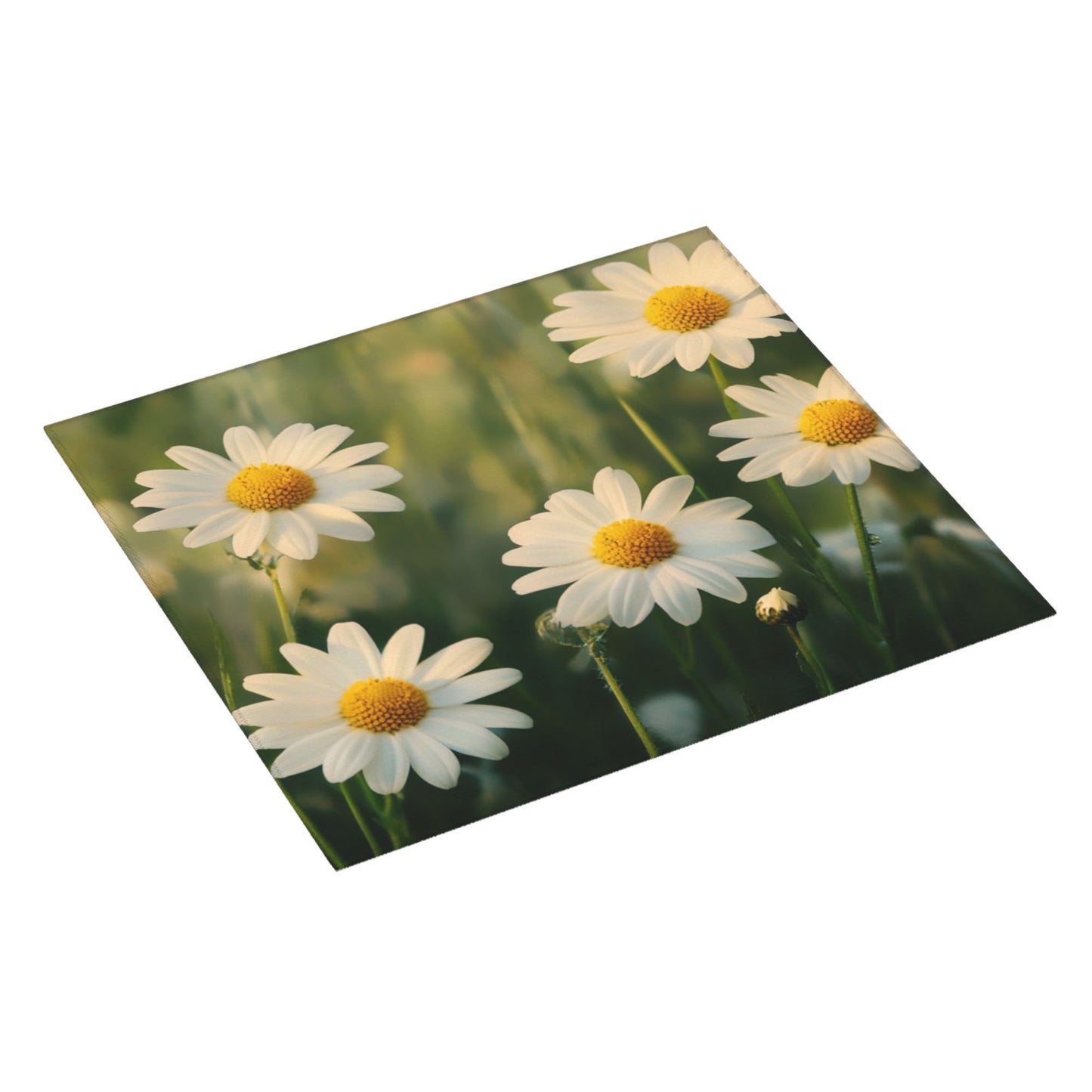 Daisy Field Kitchen Towel – Nature-Inspired Floral Hanging Cloth for Drying or Décor (16x24 inches)